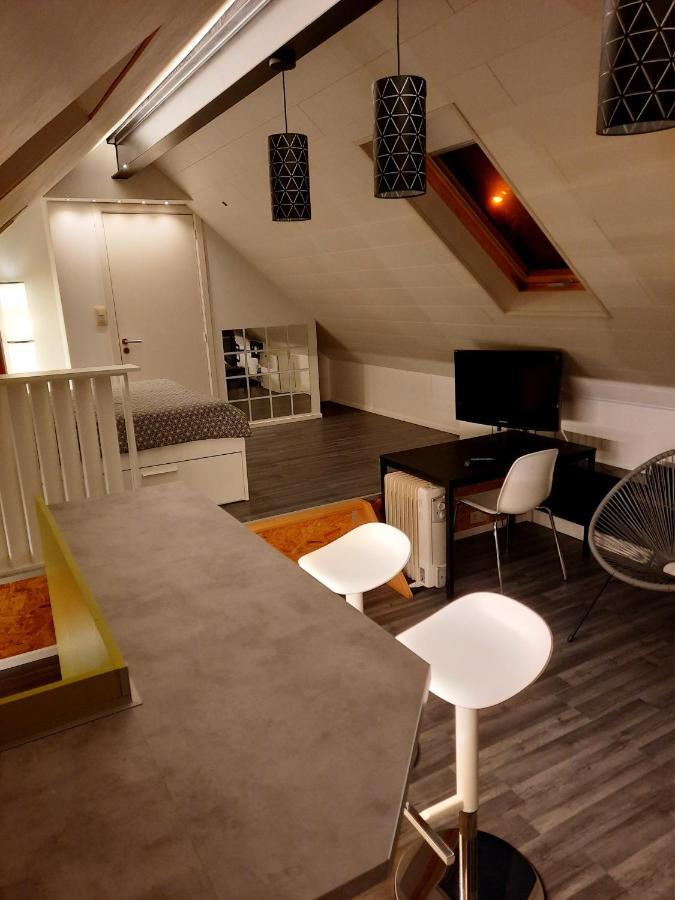 Studio Neuf Cote Campagne Agreable A Vivre. Braine-le-Comte Екстер'єр фото